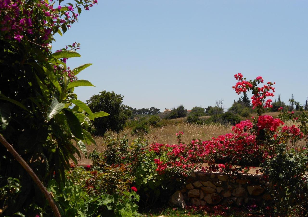 Livadaki Village Hotel Skala  Εξωτερικό φωτογραφία
