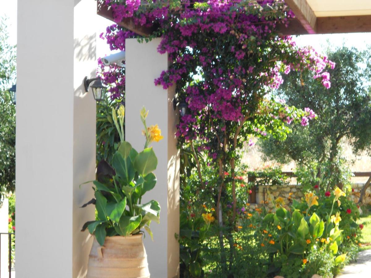 Livadaki Village Hotel Skala  Εξωτερικό φωτογραφία