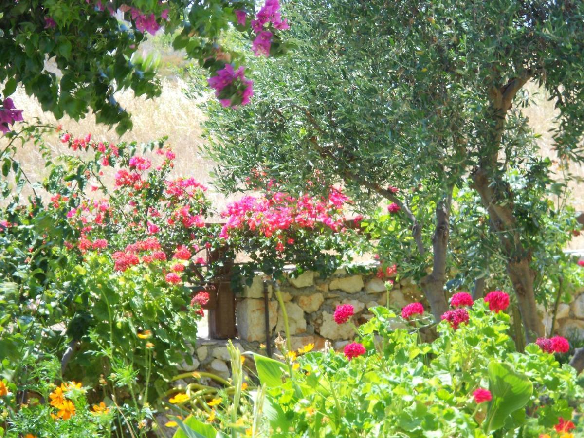 Livadaki Village Hotel Skala  Εξωτερικό φωτογραφία