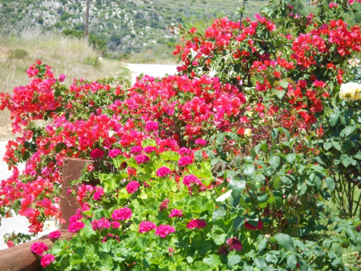 Livadaki Village Hotel Skala  Εξωτερικό φωτογραφία