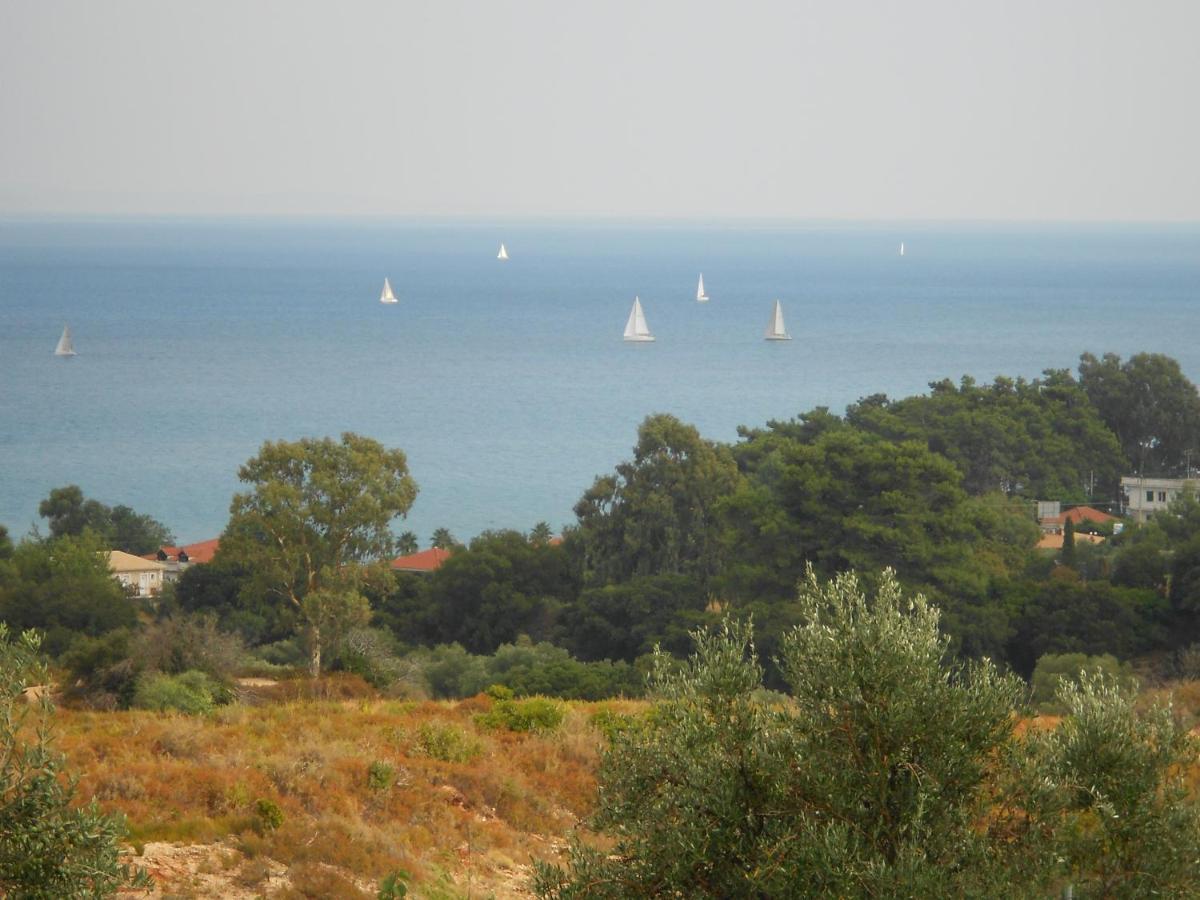 Livadaki Village Hotel Skala  Εξωτερικό φωτογραφία